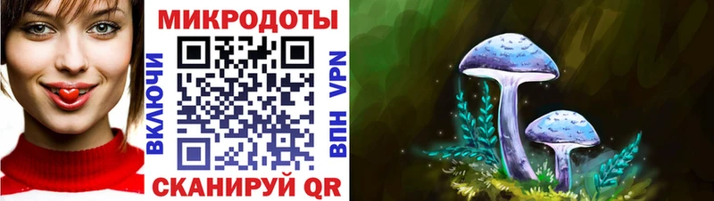 Псилоцибиновые грибы мухоморы  Брюховецкая 